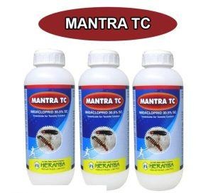 Thuốc diệt mối Mantra TC 30.5SC