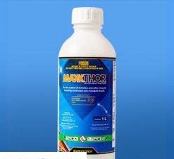 THUỐC DIỆT MUỖI MAXXTHOR 100